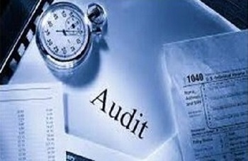 l'audit interne